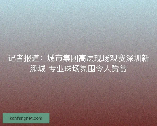 记者报道:城市集团高层现场观赛深圳新鹏城 专业球场氛围令人赞赏 记者报道:城市集团高层现场观赛深圳新鹏城 专业球场氛围令人赞赏